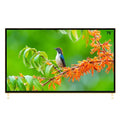 Intelligent voice 55-inch 65-inch 75-inch 85-inch 100-inch network 4K explosion-proof TV, computer display TV