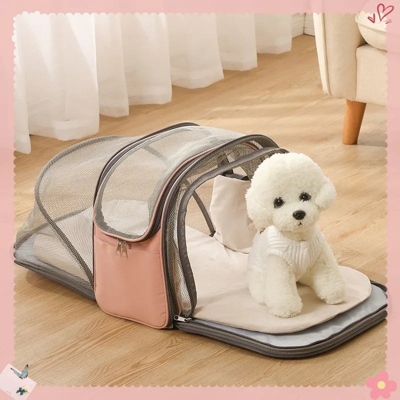 Pet Carrier Backpack Bag for Small Dogs Cats Puppy Kitty Transparent Expandable Breathable Walking Outdoor Travel Products Items