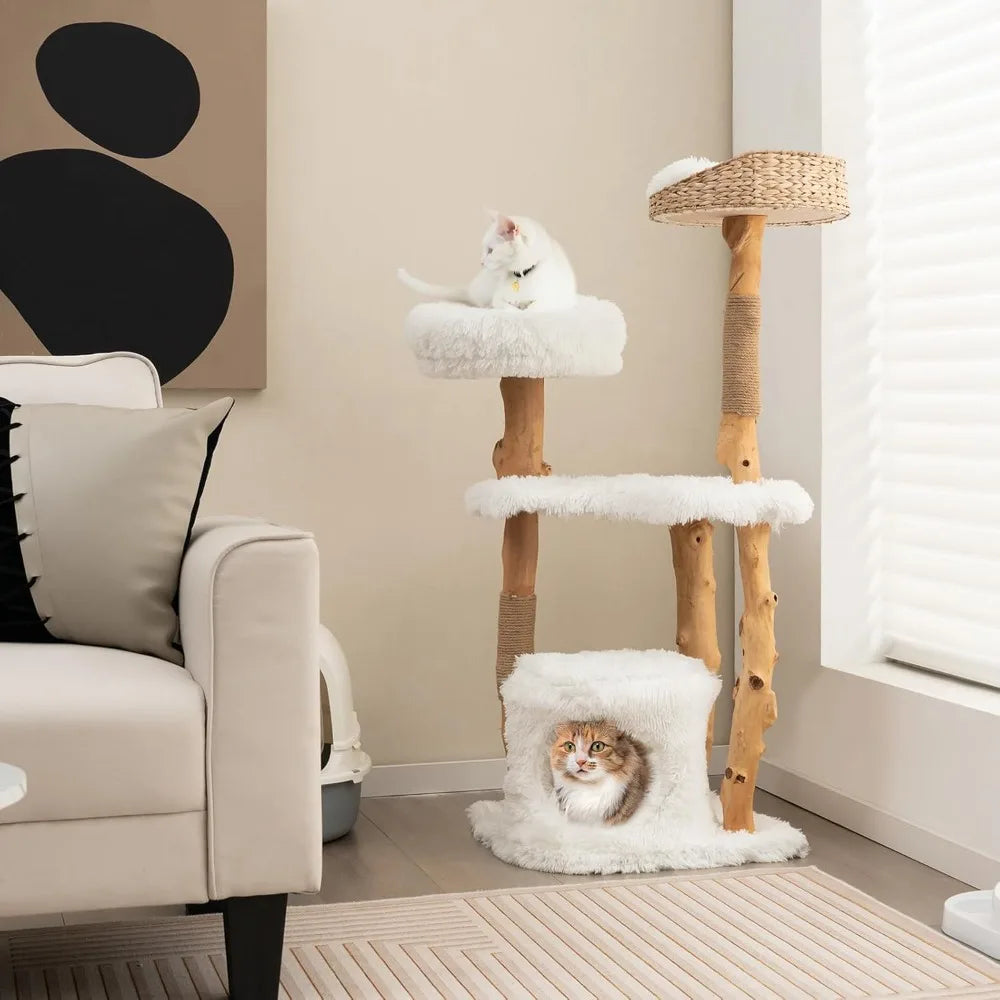 49 inch Cat Tree for Indoor Cats, Cute Solid Wood Modern Multi-Level Cat Tower with Scratching Posts, Top Cattail Basket