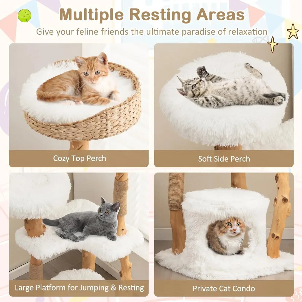 49 inch Cat Tree for Indoor Cats, Cute Solid Wood Modern Multi-Level Cat Tower with Scratching Posts, Top Cattail Basket