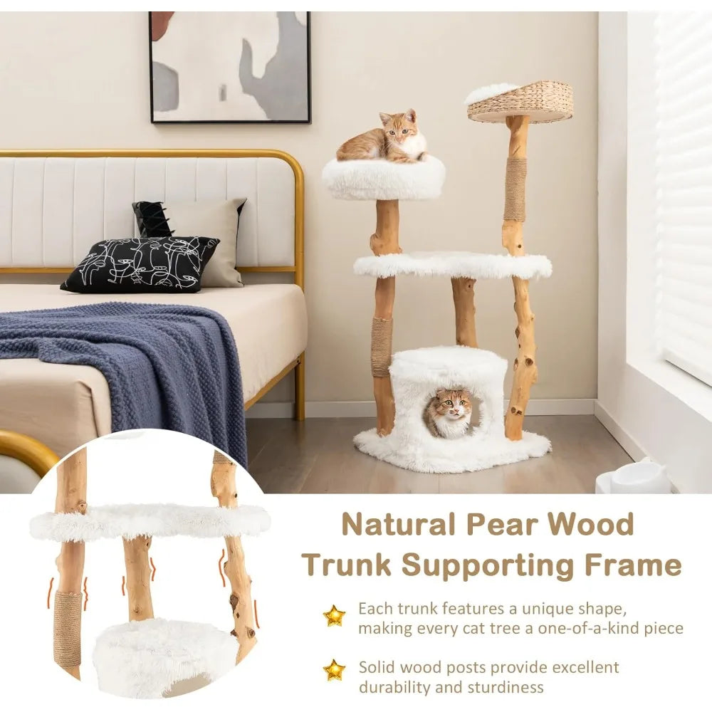 49 inch Cat Tree for Indoor Cats, Cute Solid Wood Modern Multi-Level Cat Tower with Scratching Posts, Top Cattail Basket