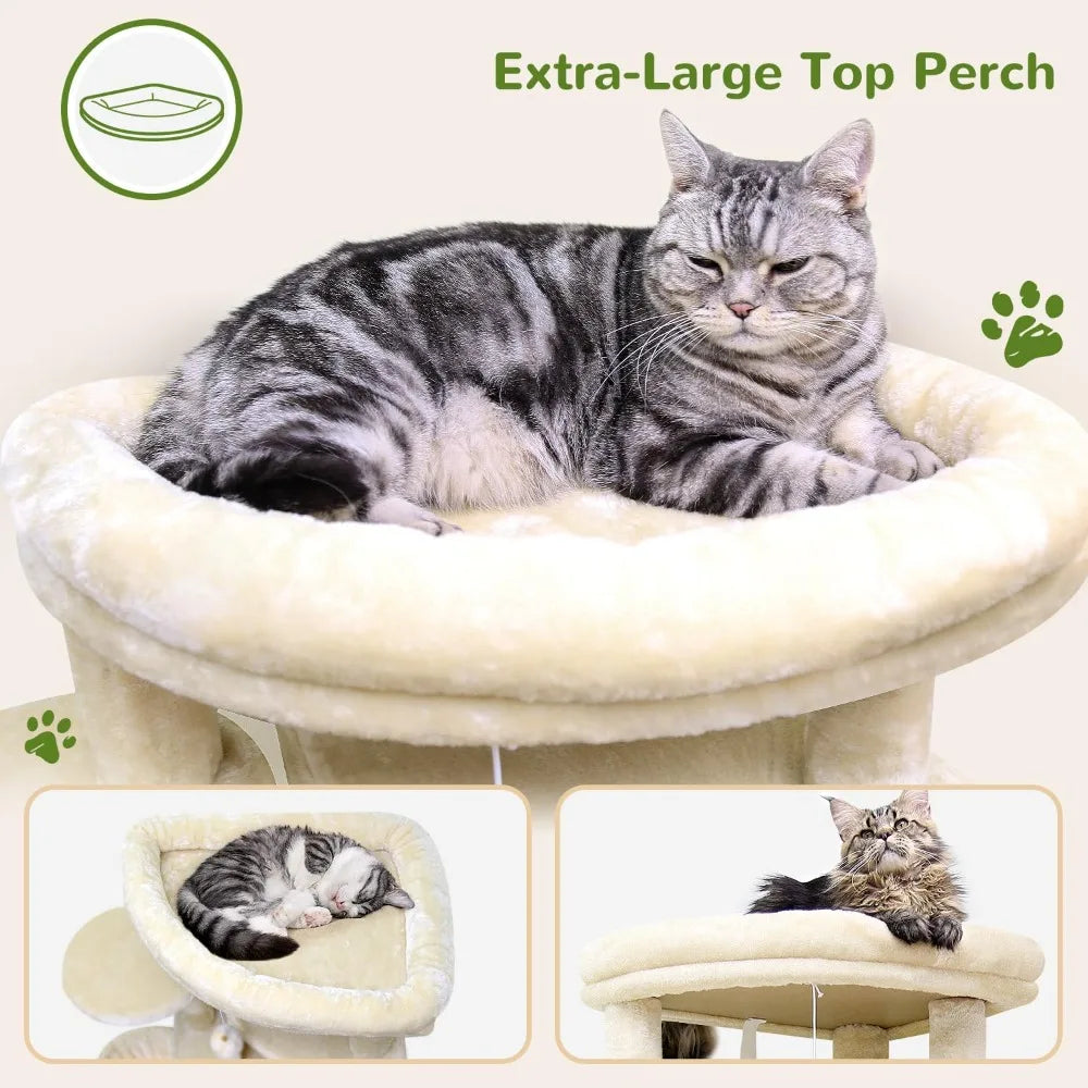 Globlazer Corner Cat Tree for Large Cats, 66inch Tall Curved Series Large Cat Tower for Multiple Indoor Cats with 6 Scratching P